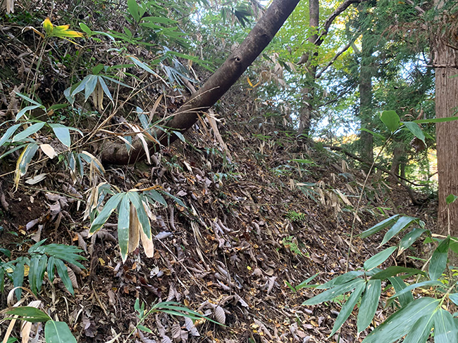 樫ノ木城の切岸