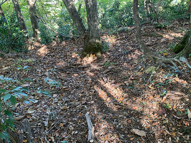 樫ノ木城の内枡形虎口