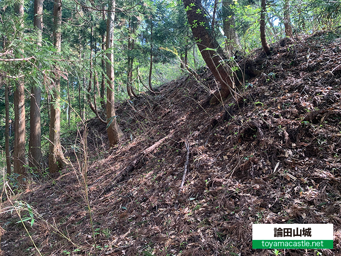 論田山城の切岸