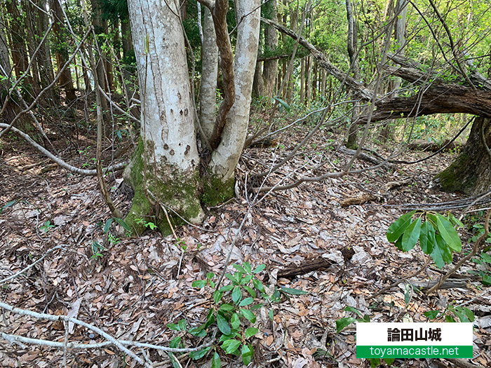 土塁