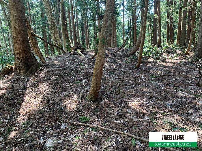 塁線土塁