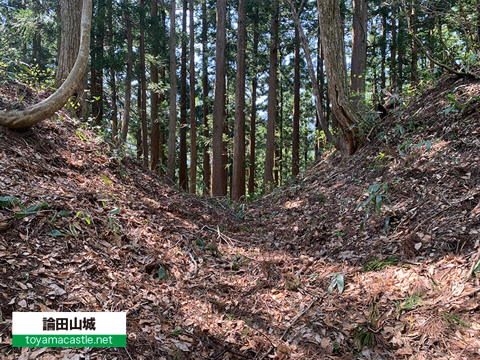 論田山城の堀切