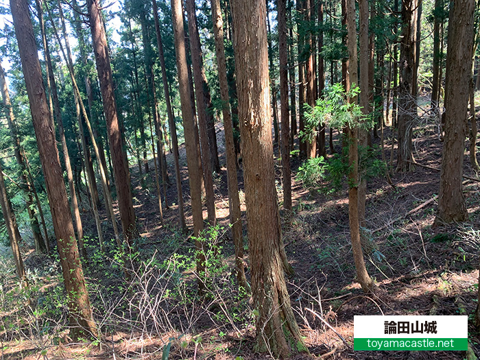 兵站地？